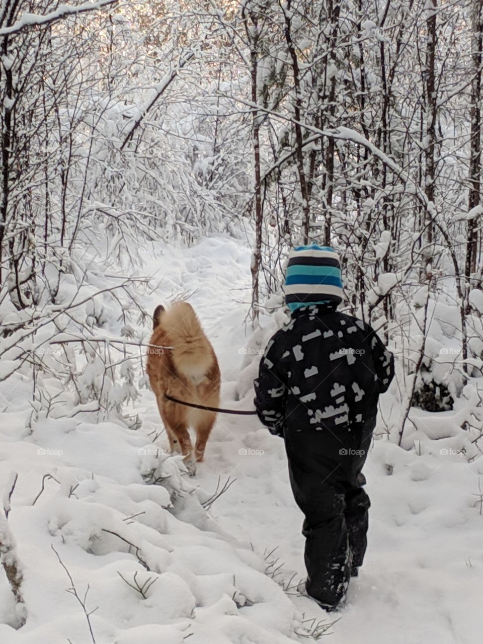 Walking the dog, best friends on a walk