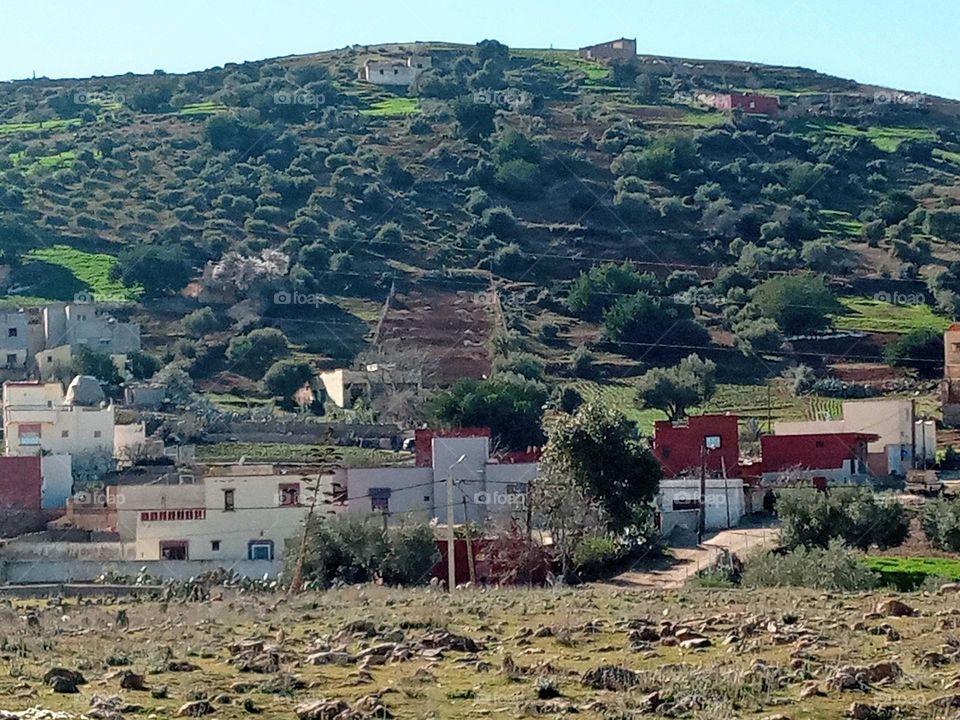 Population between the nature