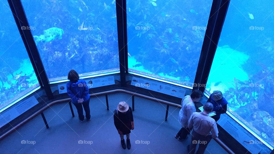 People at the Monterey Bay aquarium California 