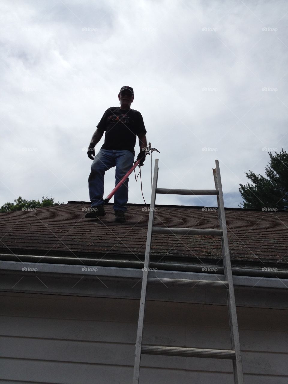 Tree worker trimming trees, ladder, silhouette on roof top. Grey sky.