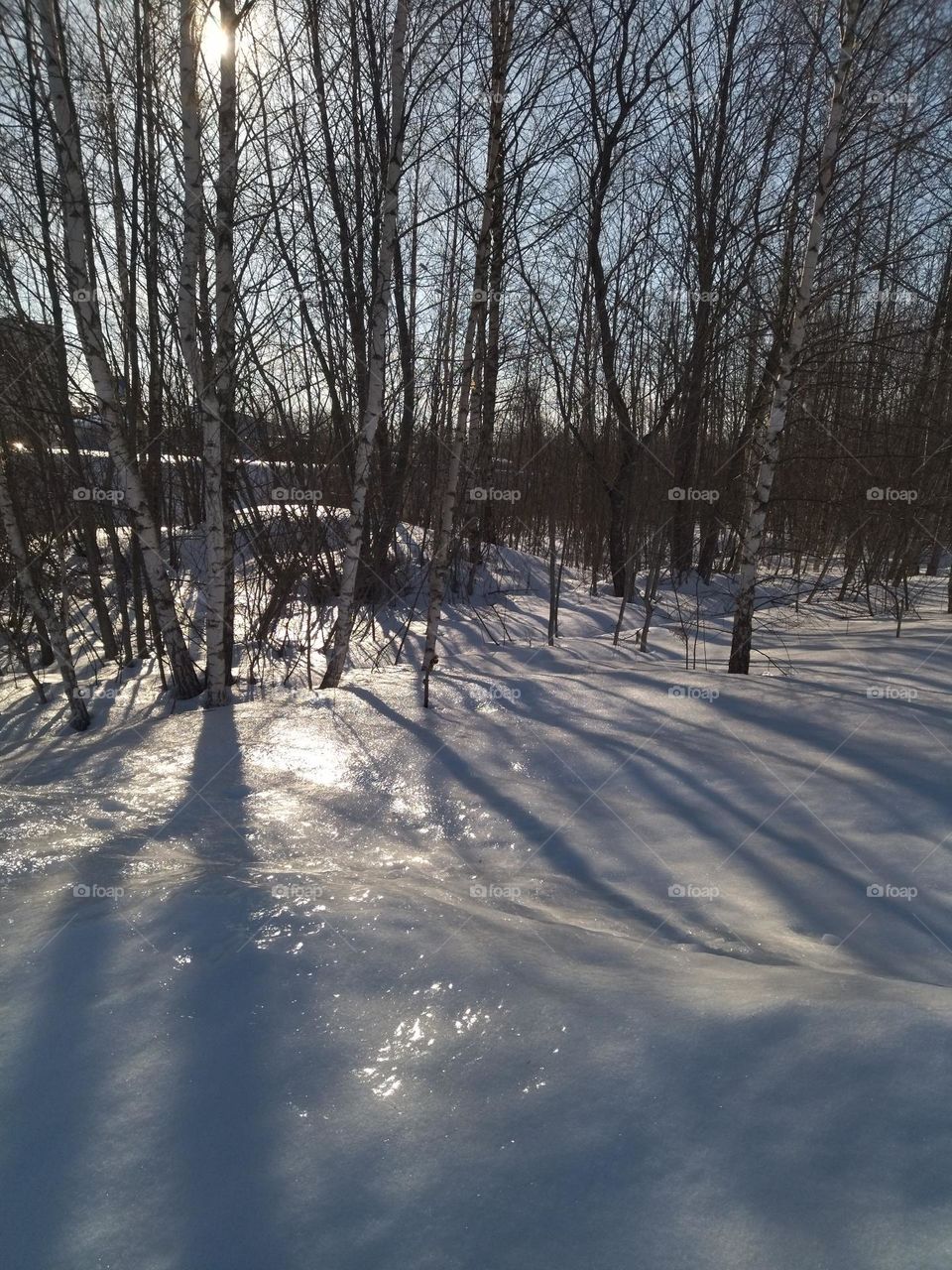 красивая зима