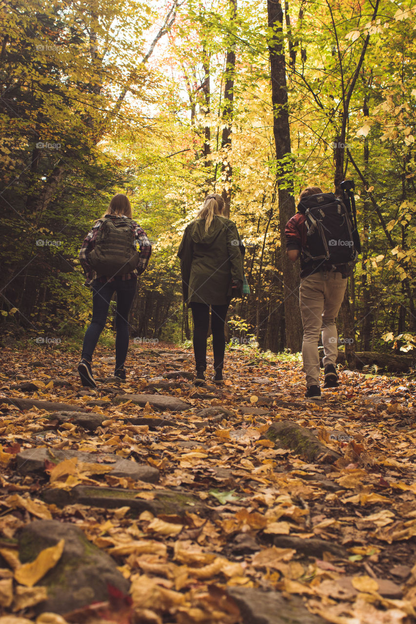 Hikers go up a trail upstate New York in autumn for the fall foliage