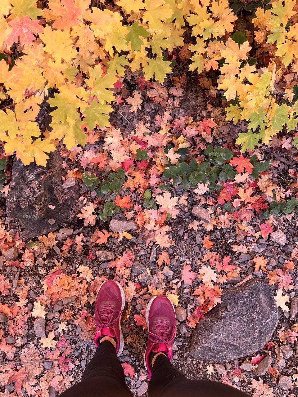 Fall hikes amongst a rainbow of colors in the most ideal temperatures 