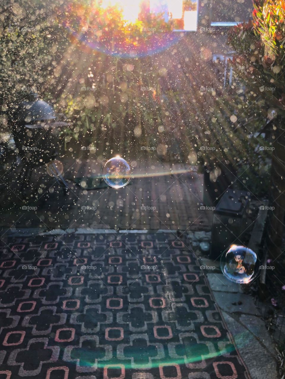 Bubbles 