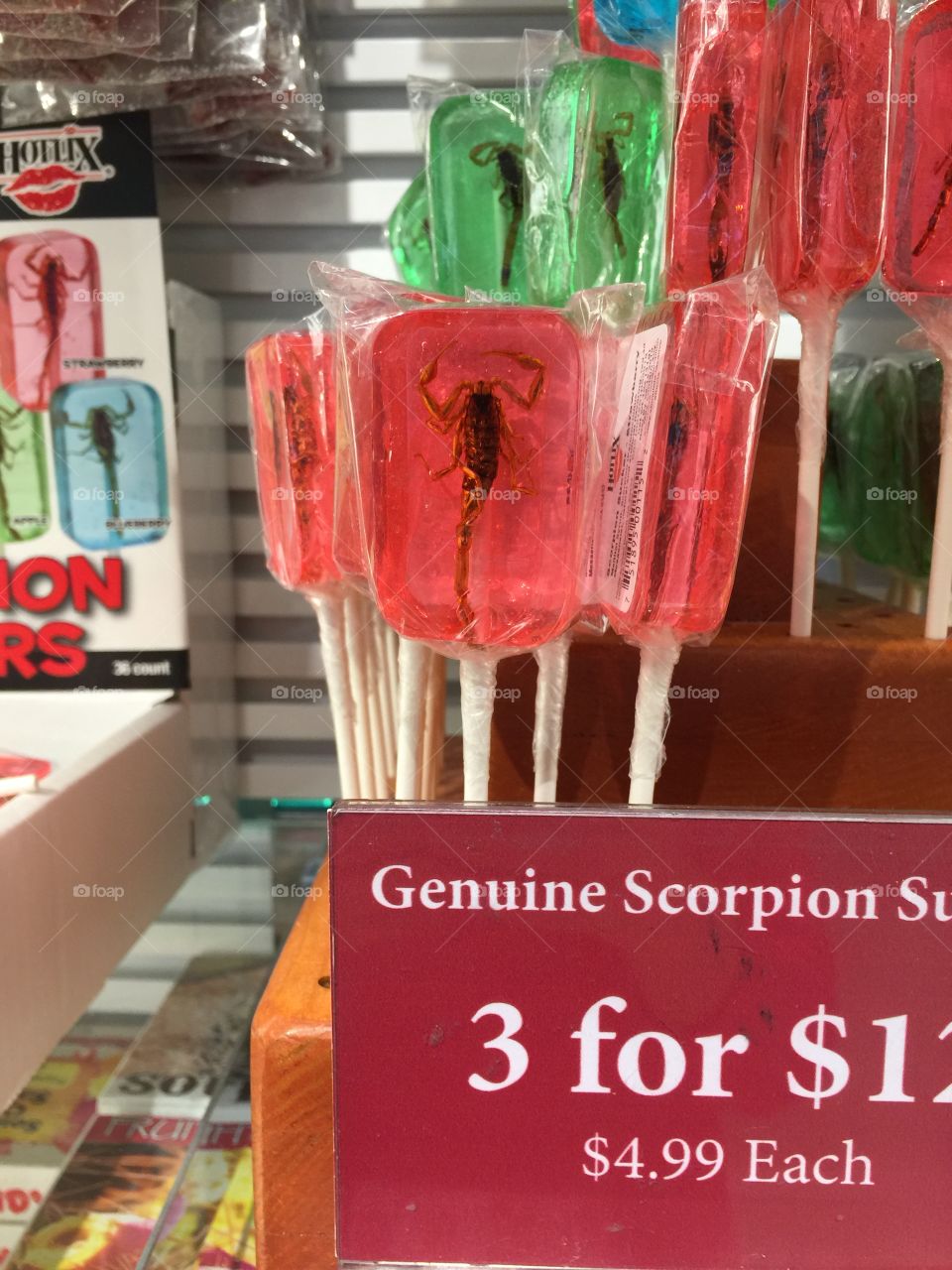 Scorpion lollipop 