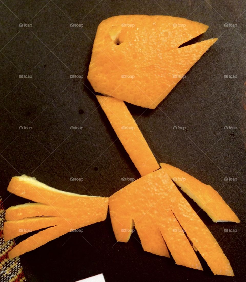 Bird of orange skin