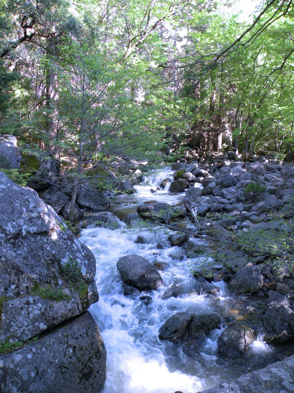 Water in Yosemite 
