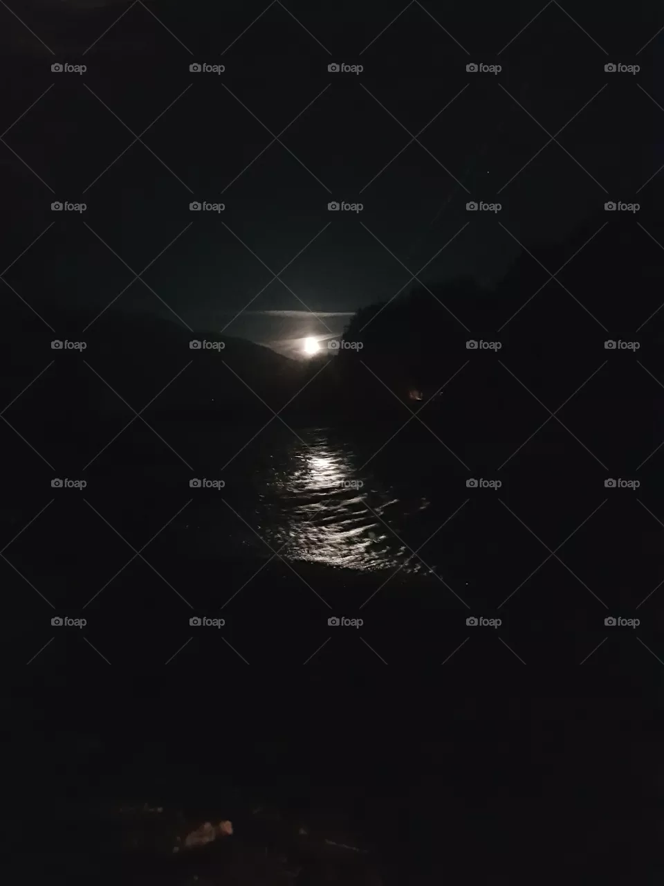 Moon🌕✨