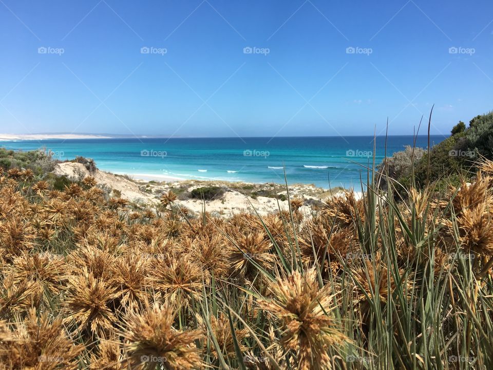 Journey to a remote tropical beach in south Australia near Coffin Bay national park, view through the sea brush; turquoise blue pristine on a beauty sky blue summer day 