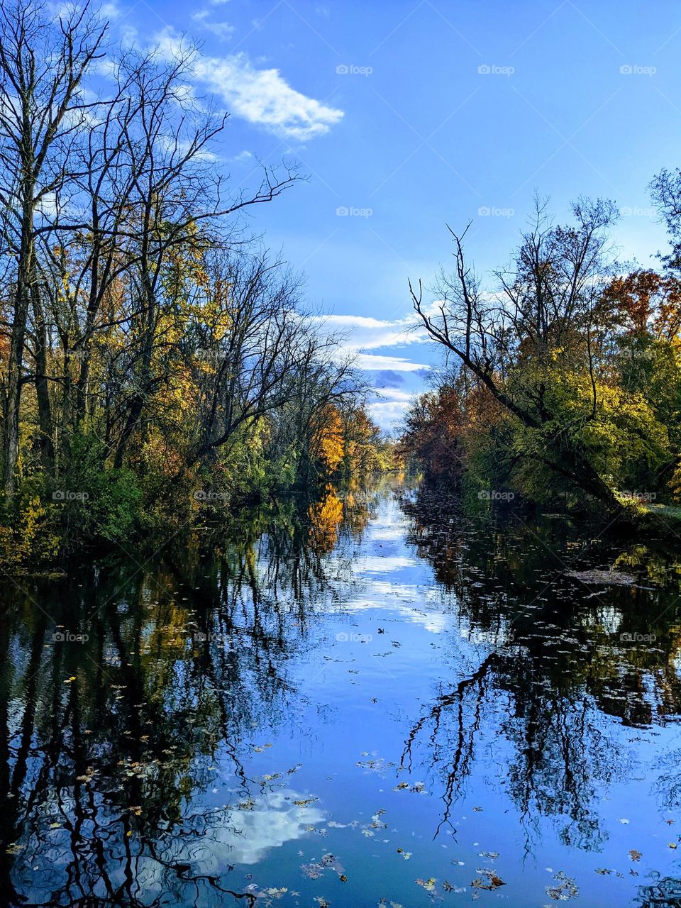 Autumn river