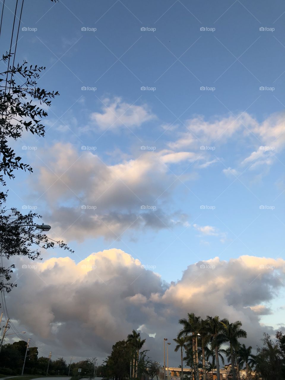 Cloud, sky, sunset, tree, outdoors