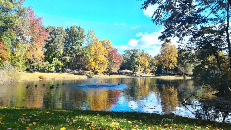 Beginnings of Autumn