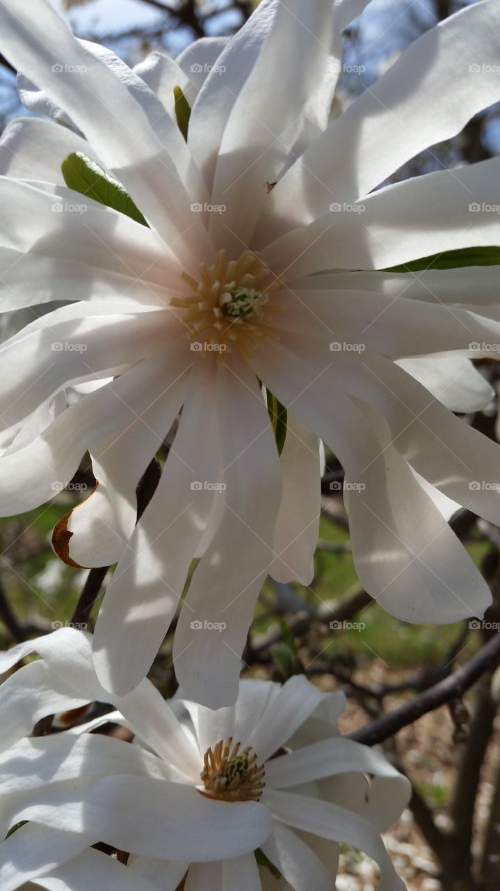 Spring is in the air