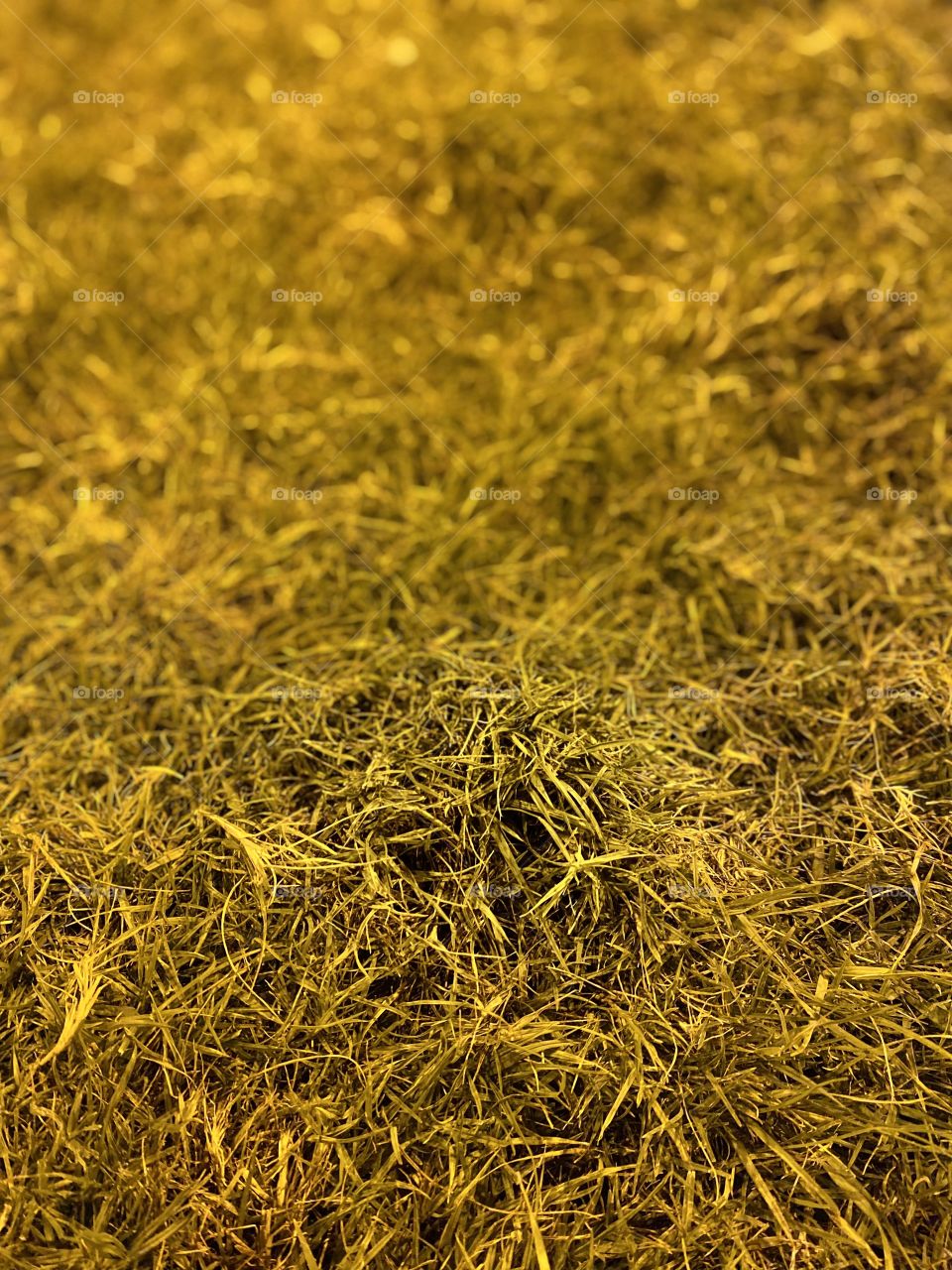 Walking 🚶🏽‍♀️