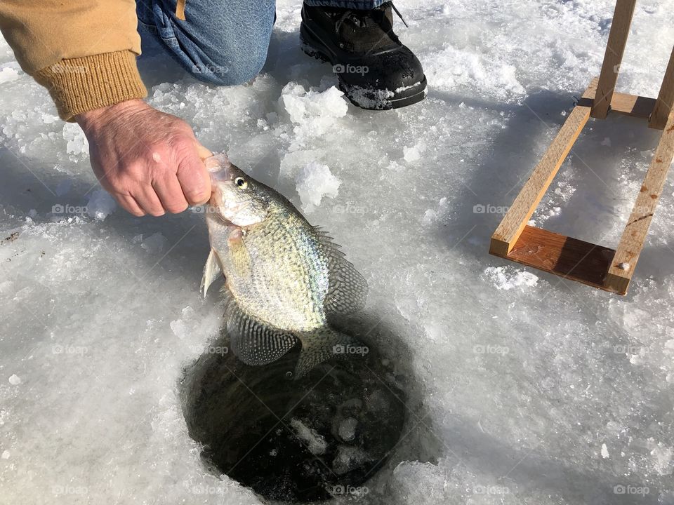 Catching a Crappie through the ice