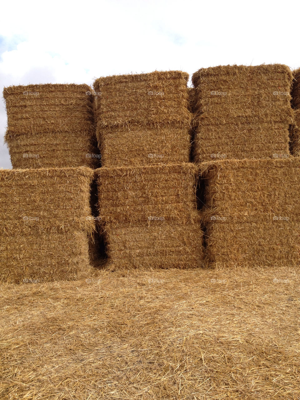 autumn country hay by liselott