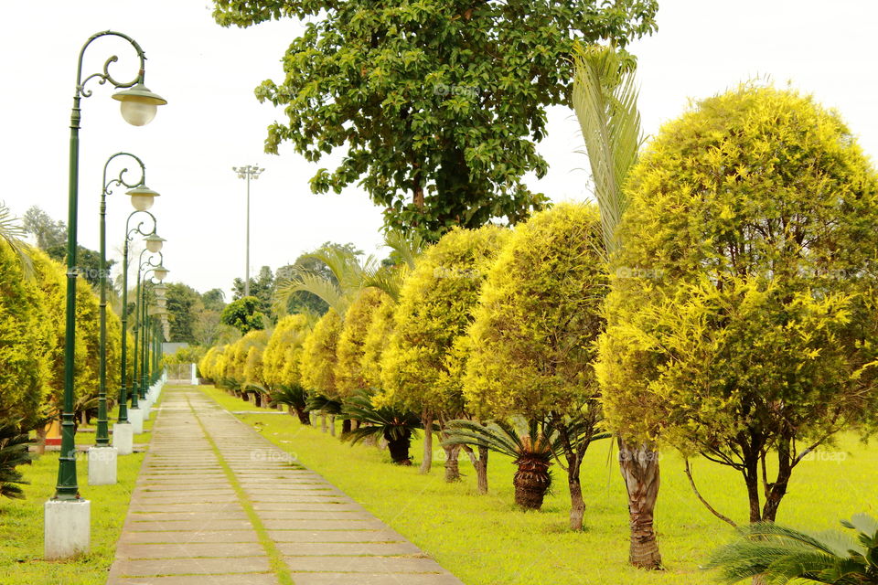 Garden View , yellow background , park