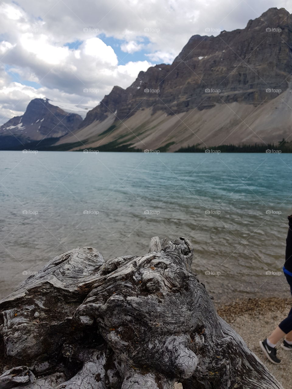 Bow Lake, Alberta