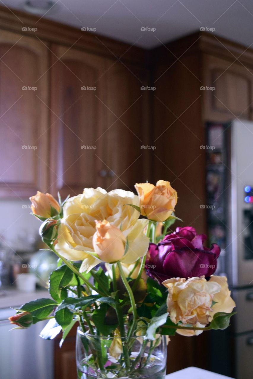flowers in bloom in kitchen