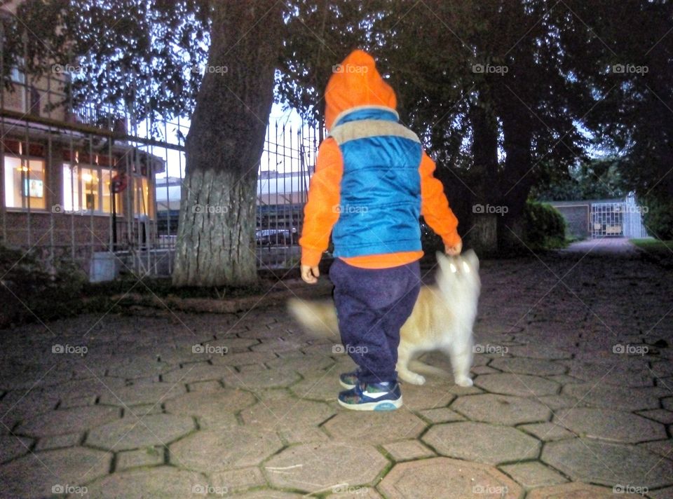 baby with cat малыш с котом