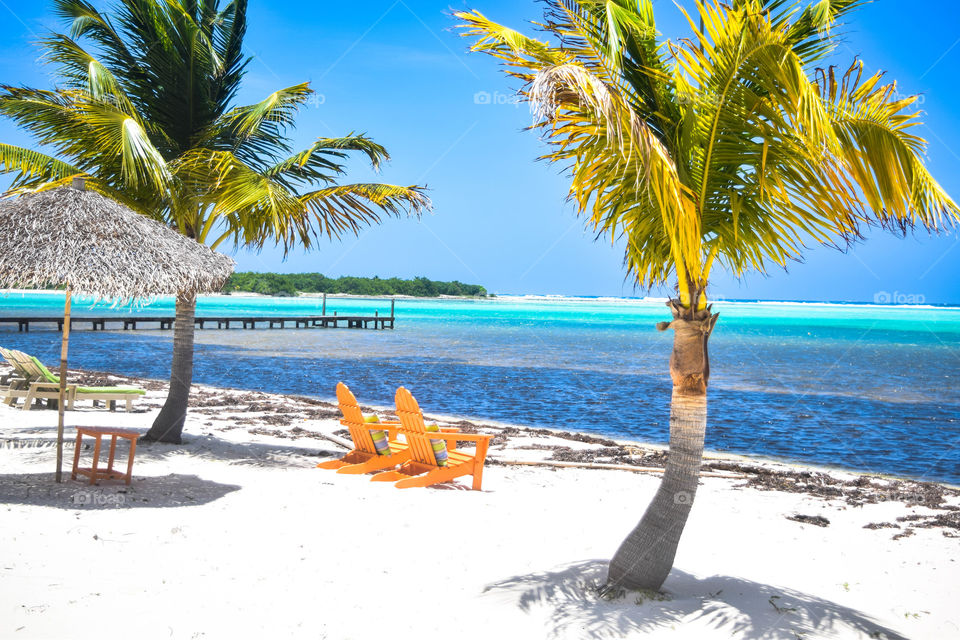 Paradise: found on Little Cayman