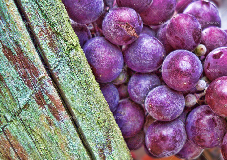 Red grapes macro