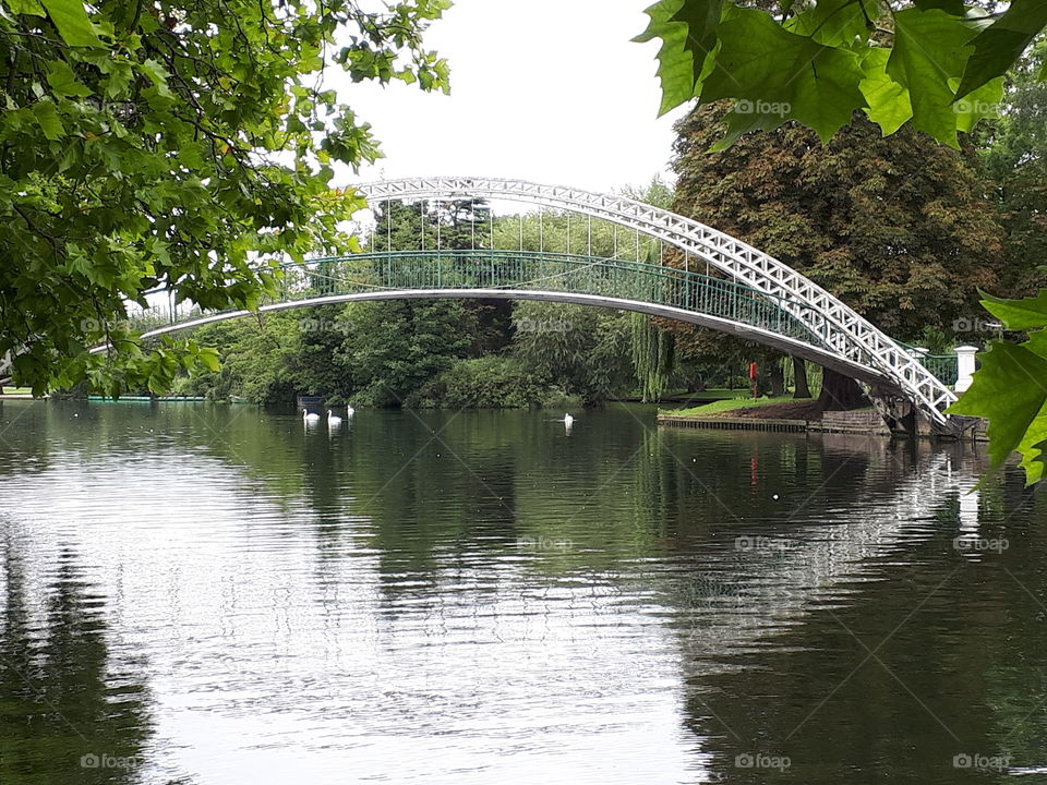 A Beautiful Bridge