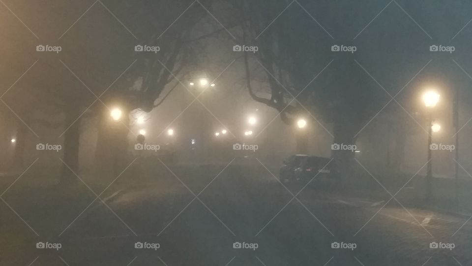 The Hague foggy lane at night. This is the beautiful Sophialaan in The Hague at night during some foggy cold weather. The 200 years old buckeye chestnut trees towards square 1818 gives this lane a romantic, rustic touch.