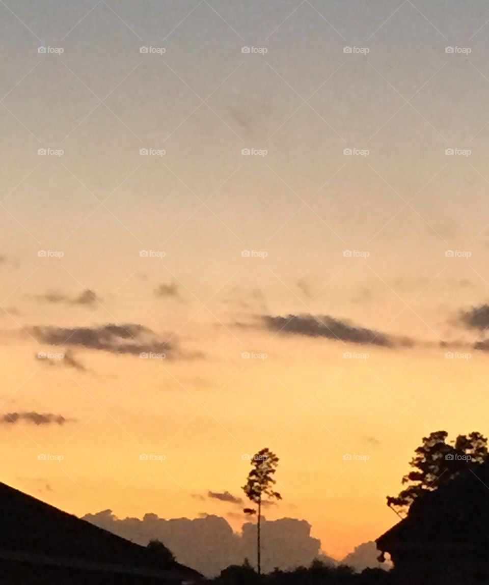 Light yellow melon colored sunset in Louisiana suburb of Denham Springs.