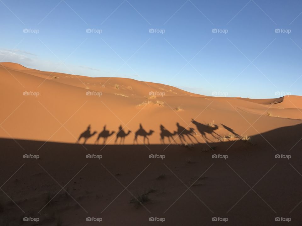 desert