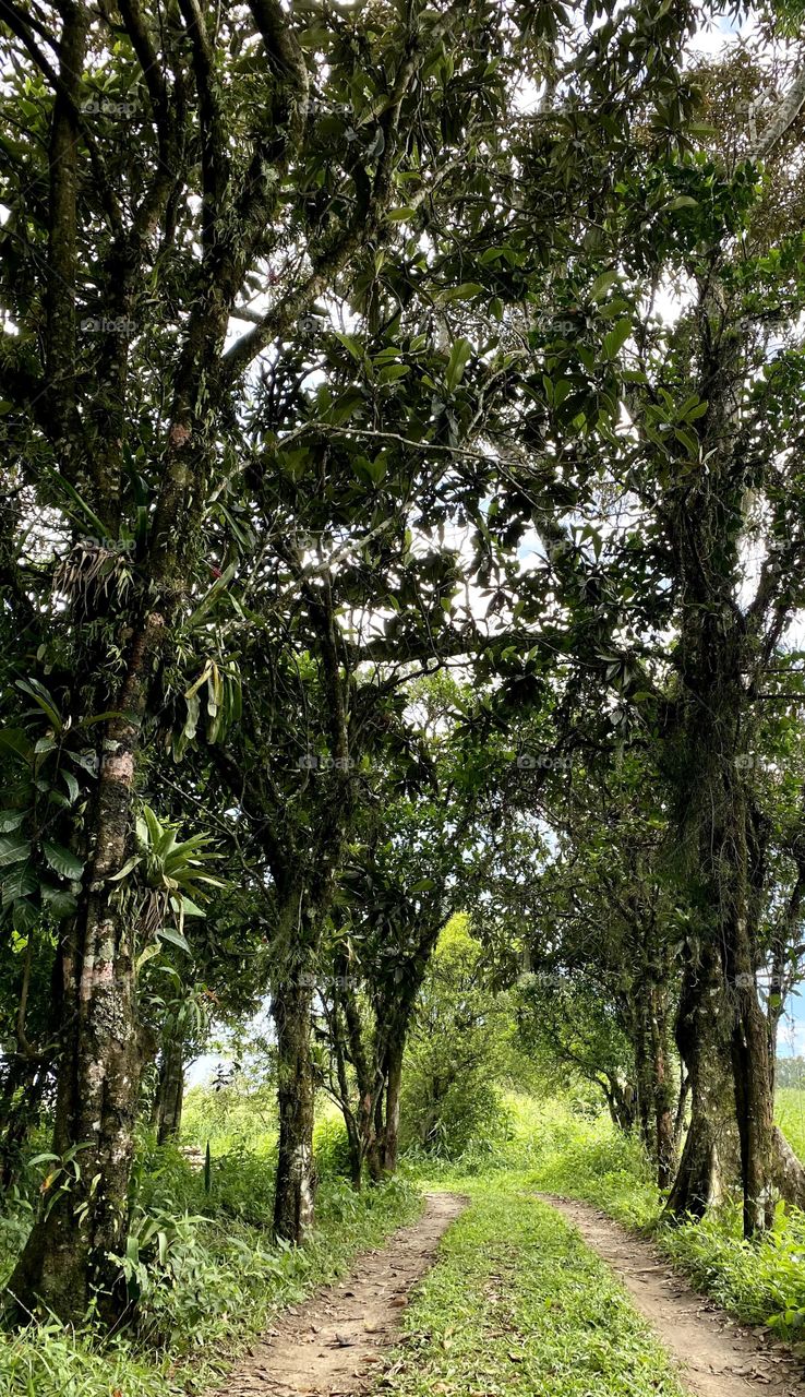 Paths that transmit peace