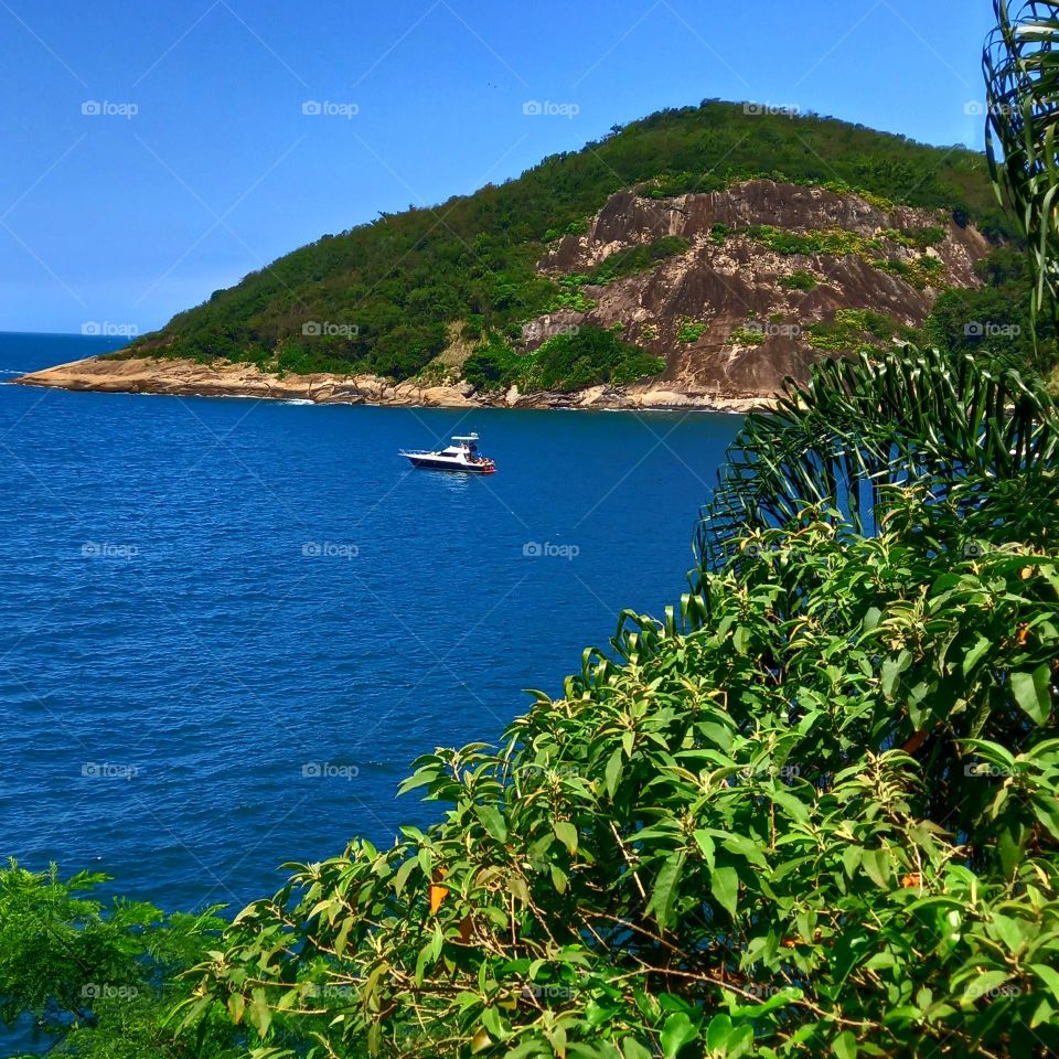 Verde e  azul amar a natureza e o mar