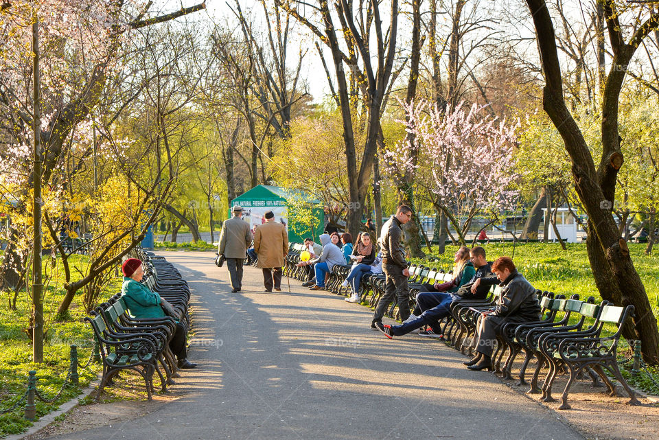 Spring in the park