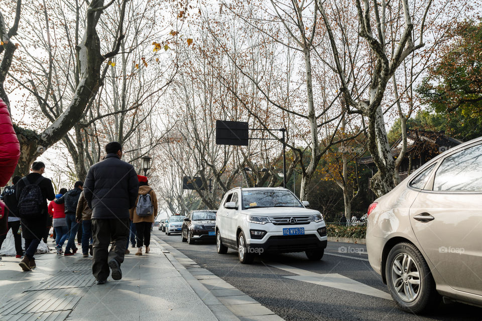 Cars in the city 