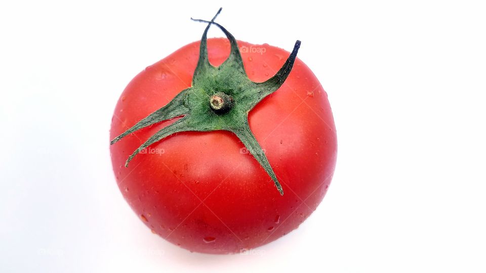 tomato on the white background