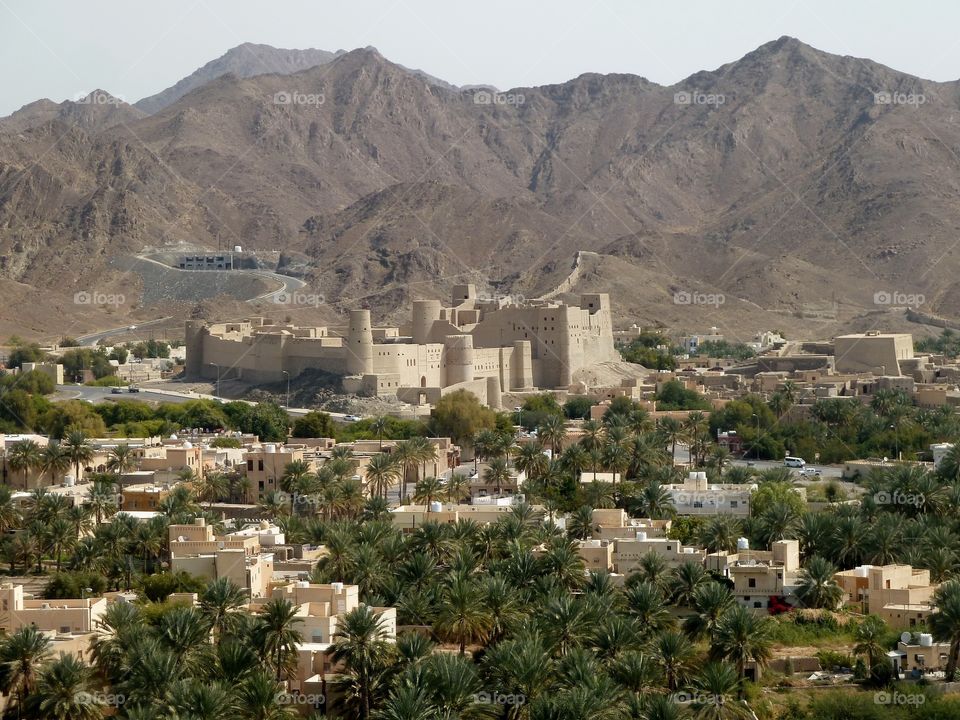 Omani Village 