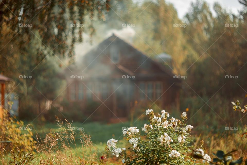 Summer countryside landscape with wooden house