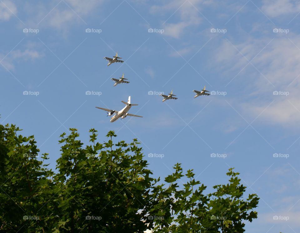 Flight, Bird, Sky, Airplane, Air