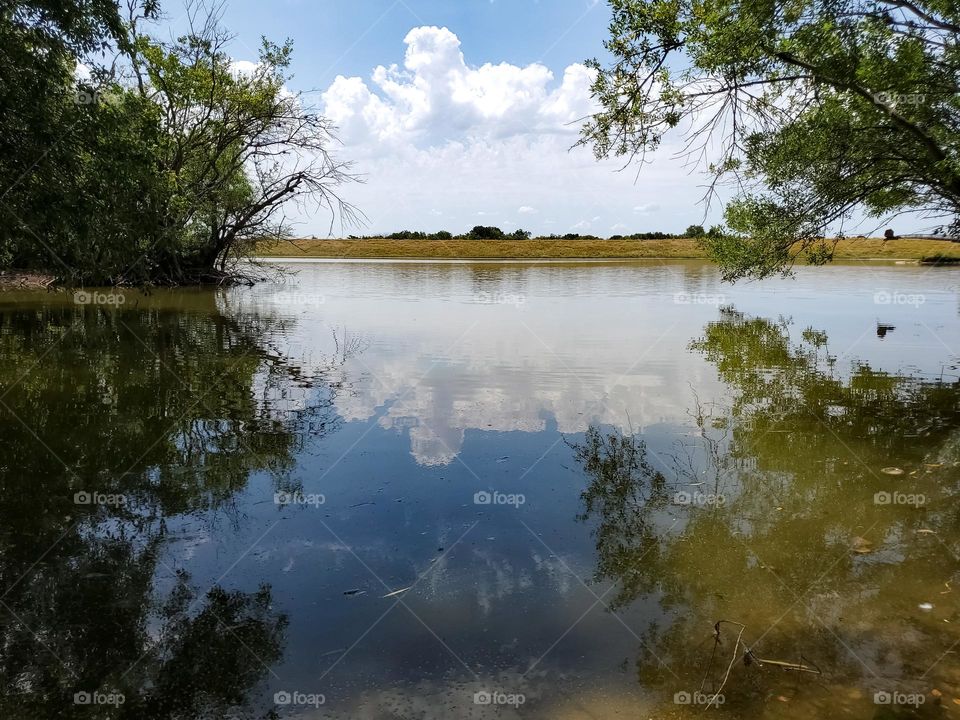 Reflections of nature