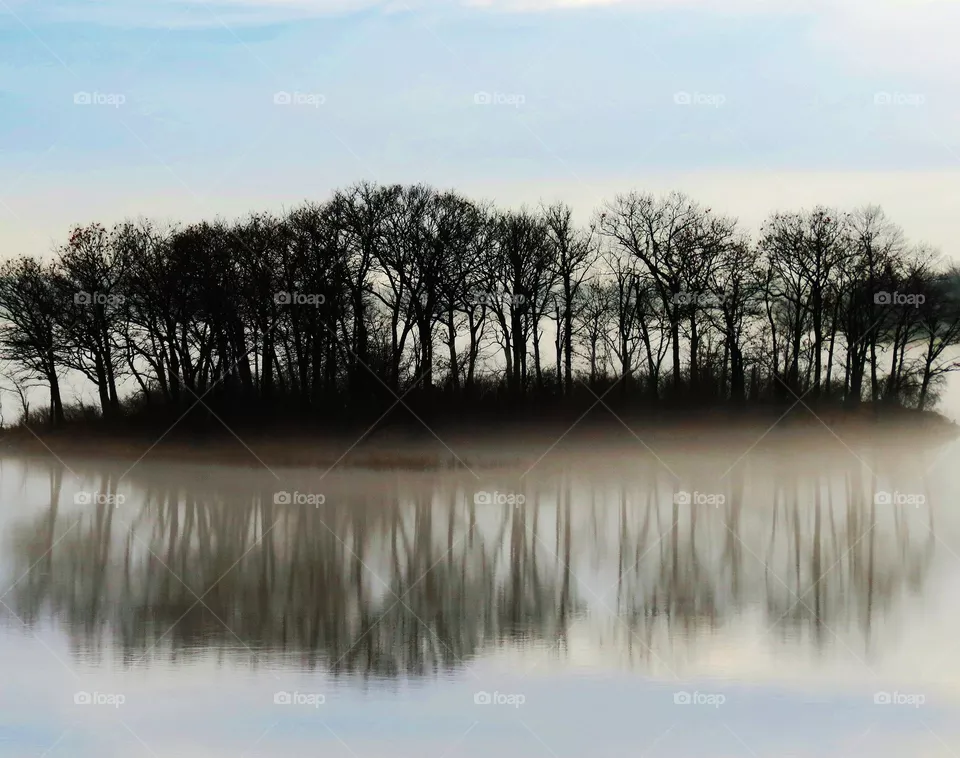 Misty day