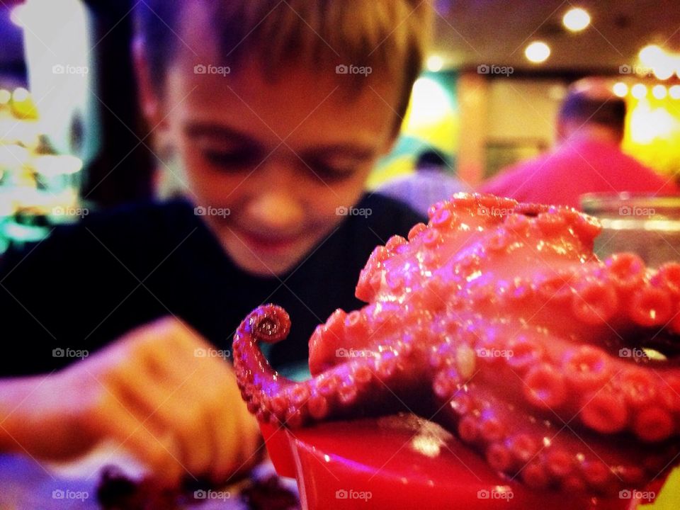 Octopus Curiousity