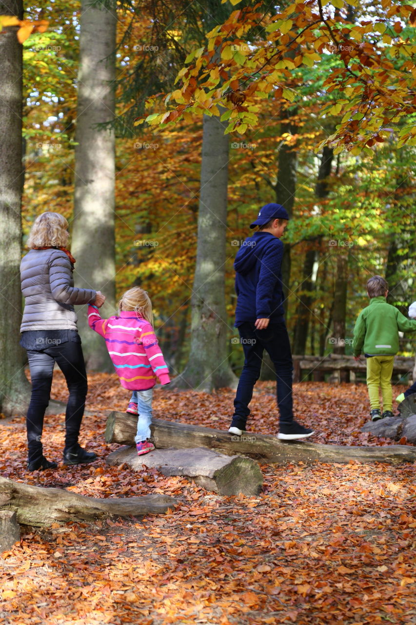 Fall, Leaf, People, Wood, Park