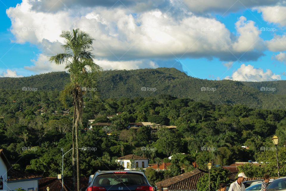 Beautiful view of the city and nature living together 