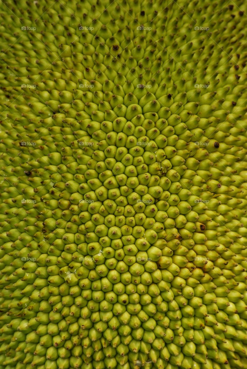 vegetable from West Java indonesia