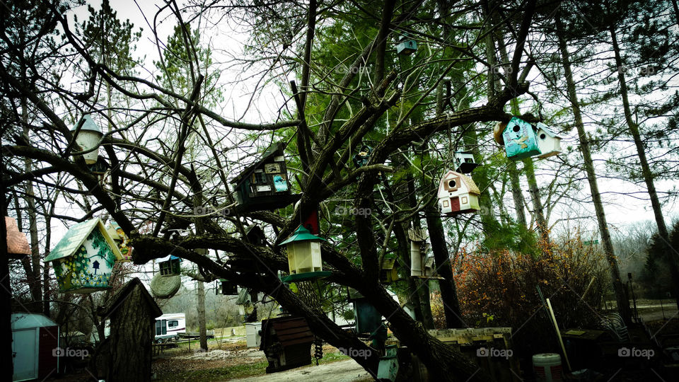 birdhouses