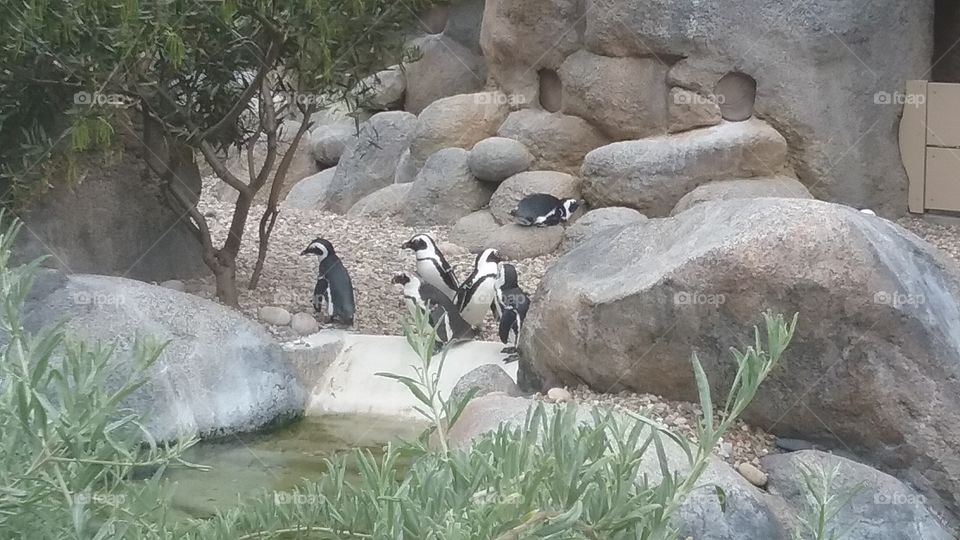 Penguin Group