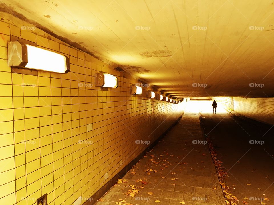 Yellow tunnel 