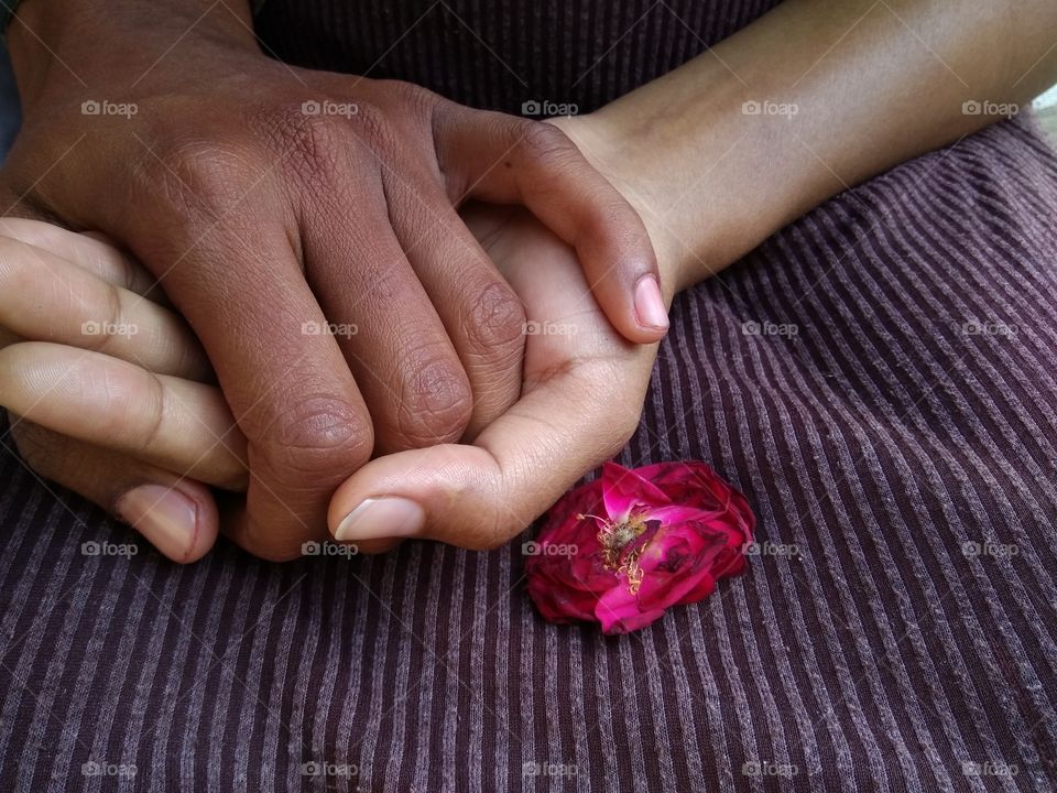 Holding hand near rose