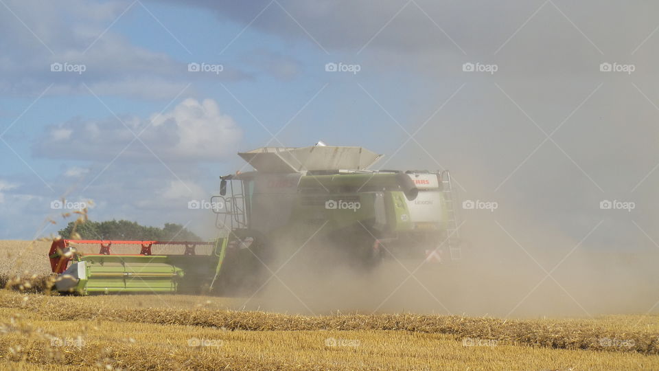 Harvest . Harvester crops