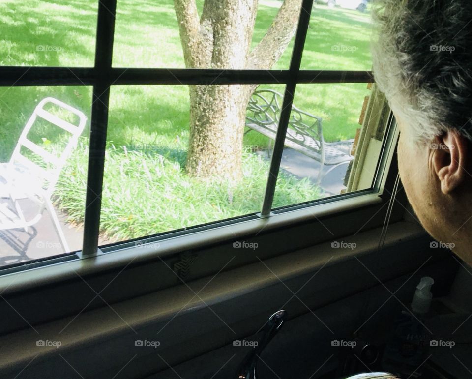 My sweet mother with dementia watching a squirrel out the kitchen window. Squirrel didn’t want to be photographed...ran off. 